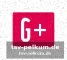 Capellos einschätzung zur punkteanzahl