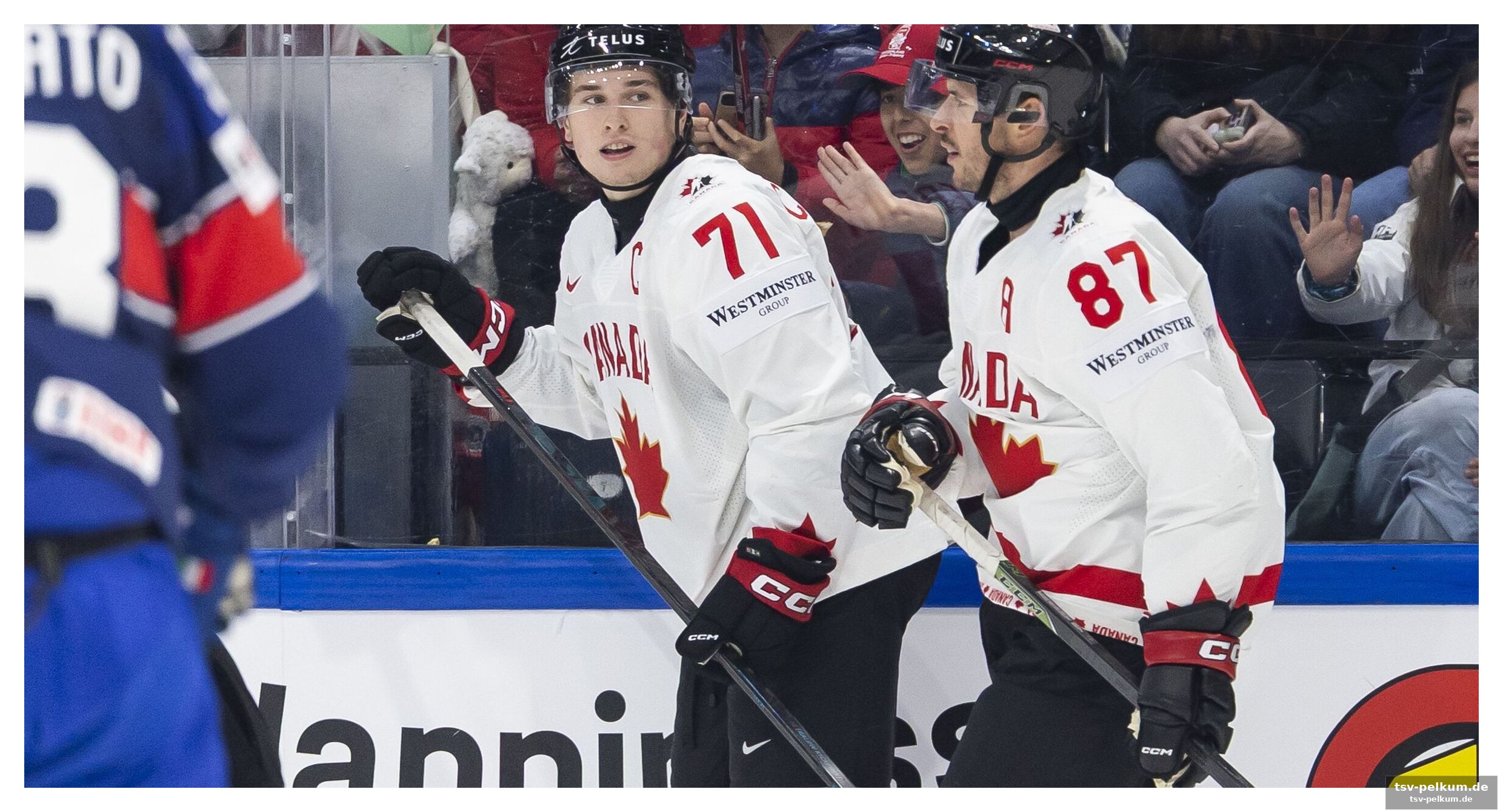 Celebrini und crosby dominieren die partie