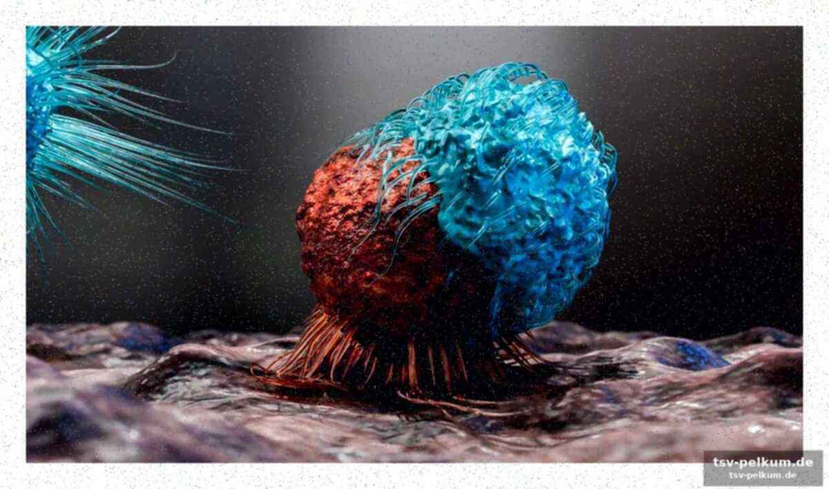 Die vielversprechende methode: biologische bomben gegen krebs
