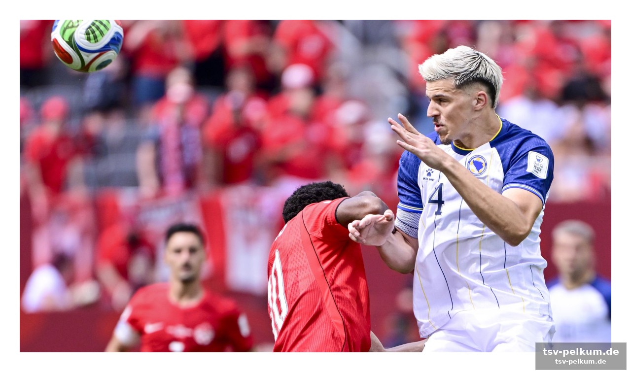 Der fels in der brandung: muharemovic