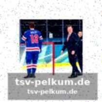 Marner und suzuki als matchwinner