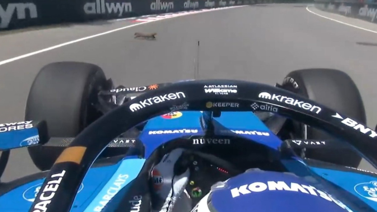Kanada-gp: murmeltier stoppt albon – chaos im qualifying!