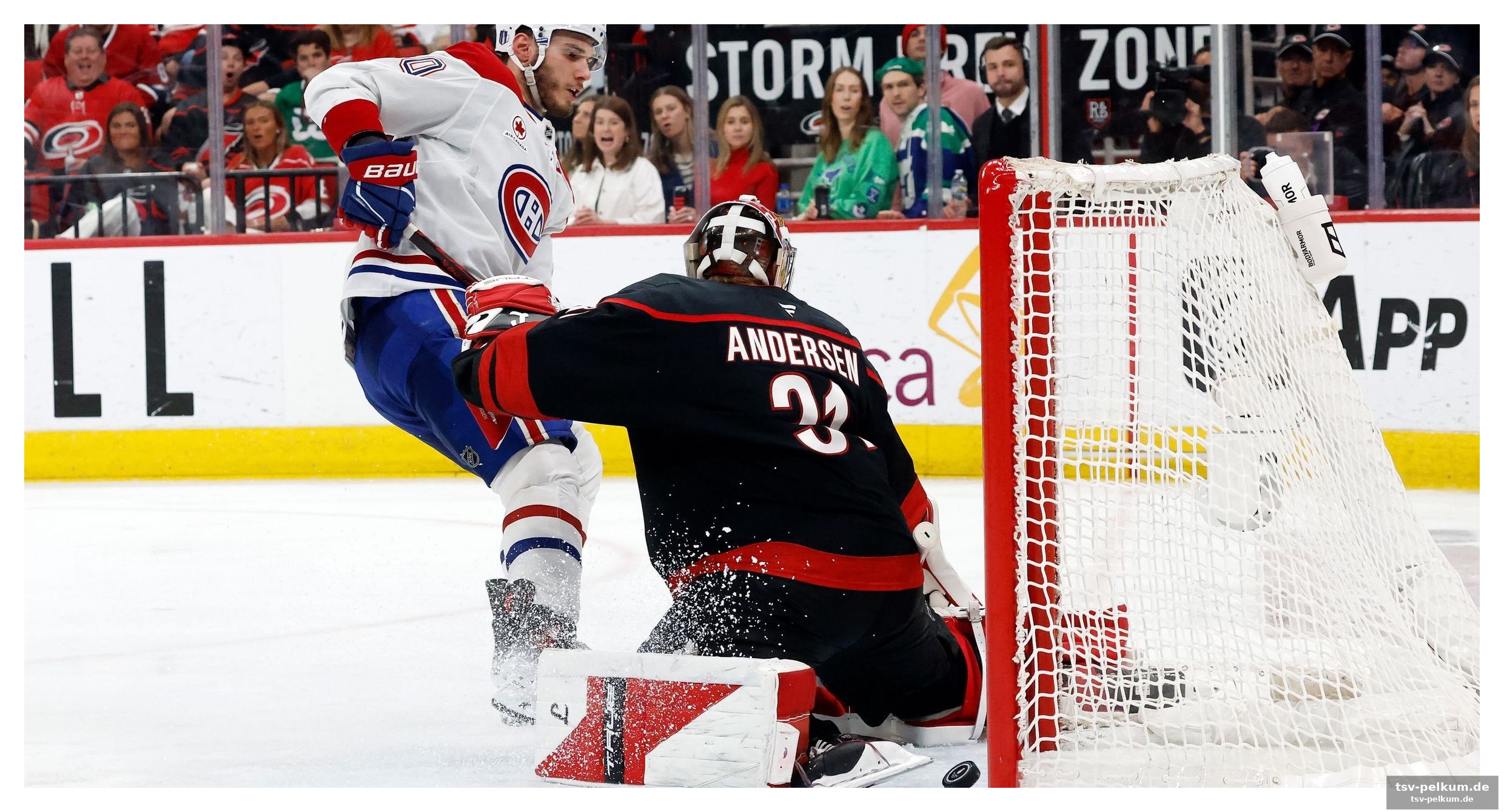 Die hurricanes