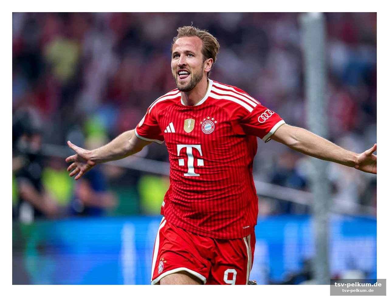 Stuttgarts titelverteidigung scheitert