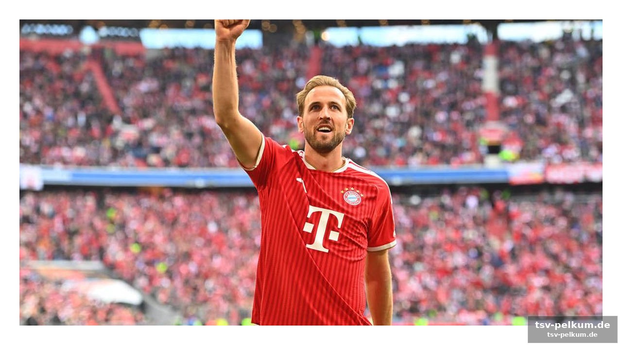 Gespräche laufen, kane fühlt sich wohl