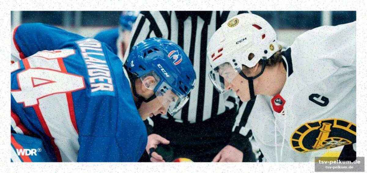 Tabu eishockey: warum das outing für sportler so schwer ist