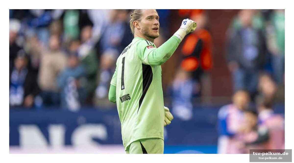 Der aufstiegskampf und karius