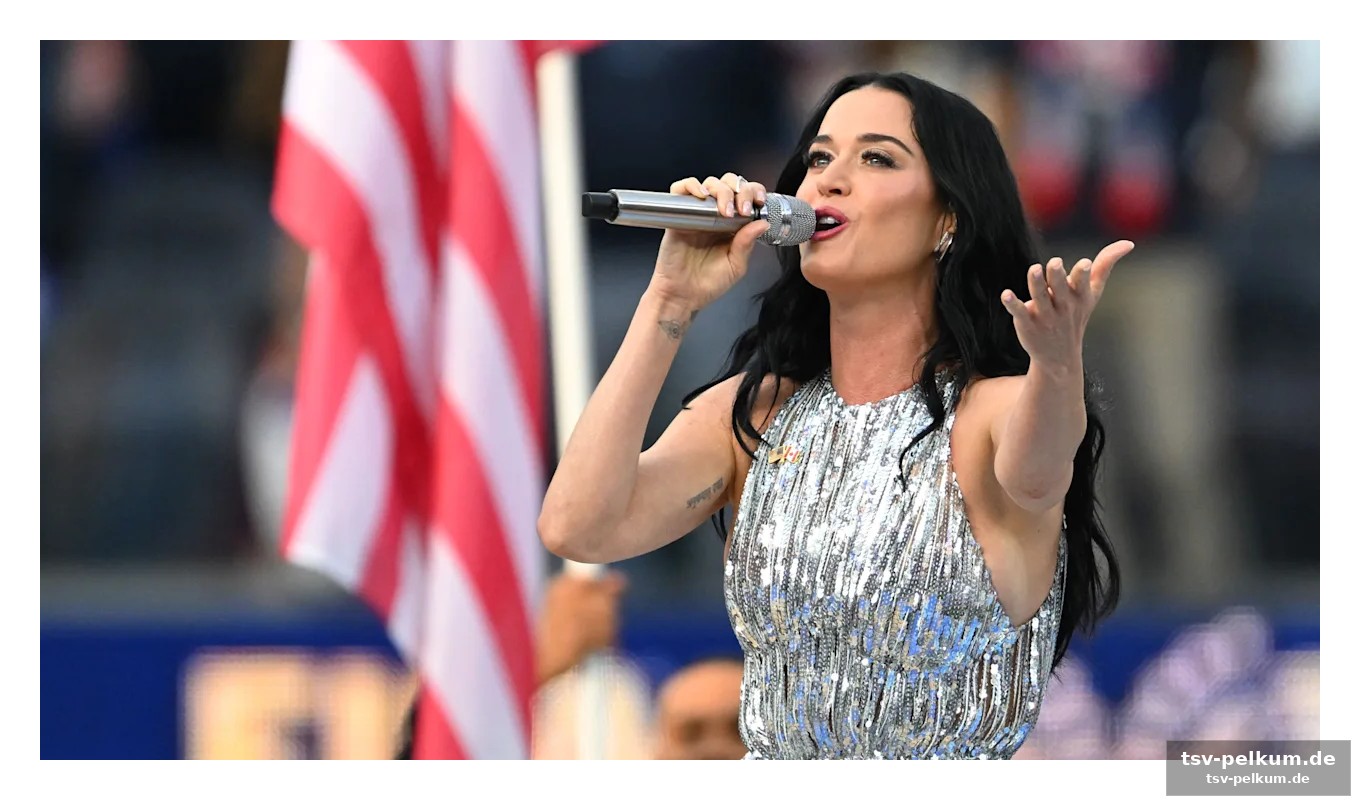 Ein kleid, das polarisiert: was steckt hinter der show?