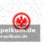 Die frage der dauerlösung stellt sich neu