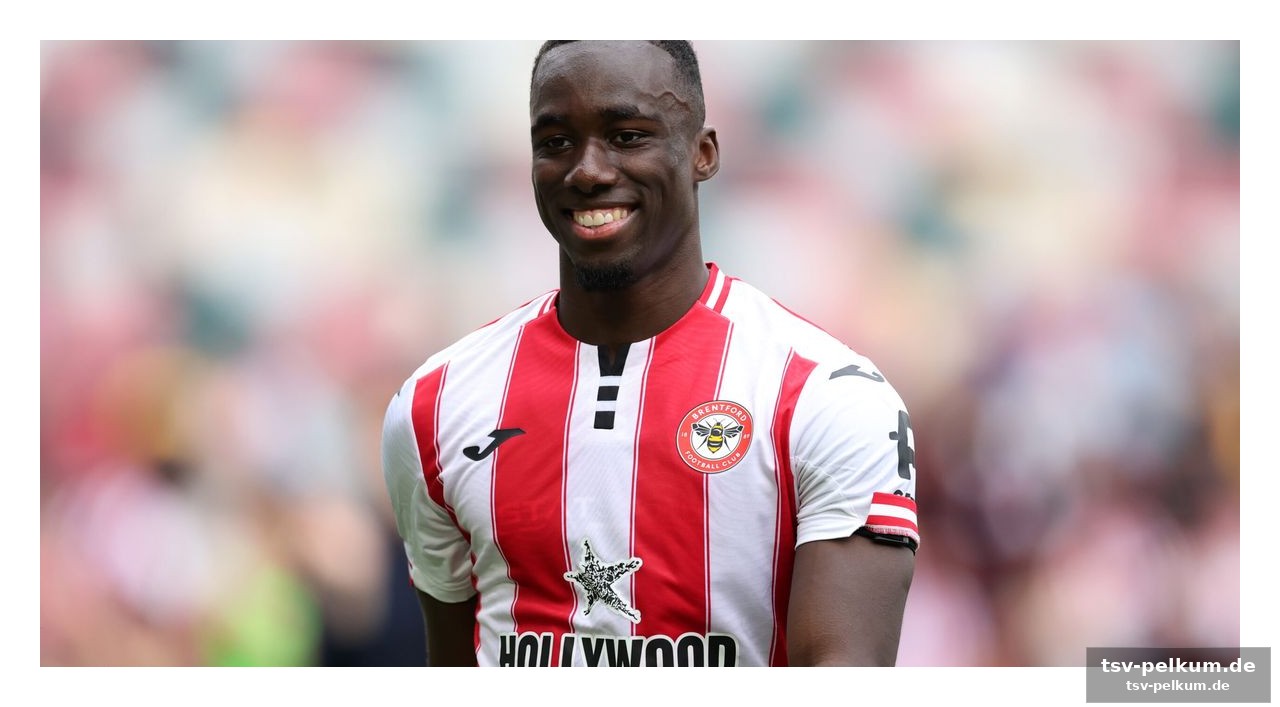 Die anerkennung der premier league