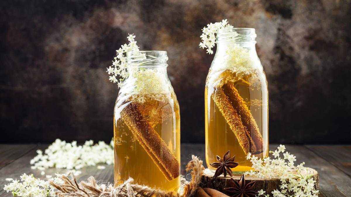 Kefir vs. kombucha: welcher fermentierte drink überzeugt?