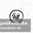 Die entscheidung der sfl im detail