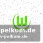 Wolfsburg schießt zurück – hoffmann kommt, cerci soll nach