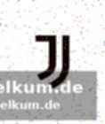 Finanzieller aufstieg: top-verdiener bei juventus?