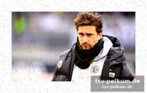 Interviews und analysen