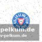 Zukunft von trainer rapp ungewiss