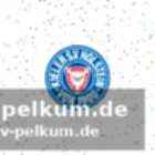 Trainer rapp unter druck