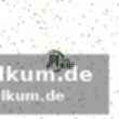 Magdeburg kann an diesem sonntag die meisterschaft klar machen