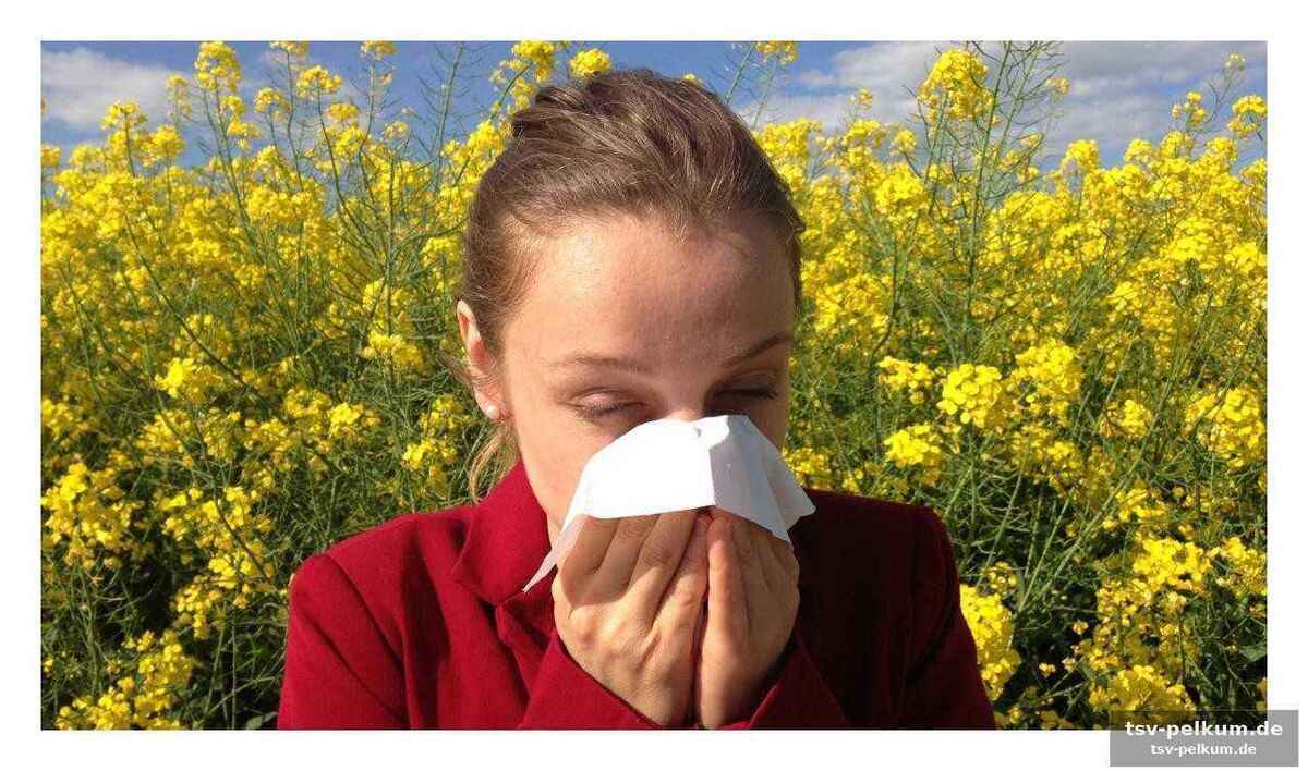 Ein teufelskreis aus wärme und allergenen