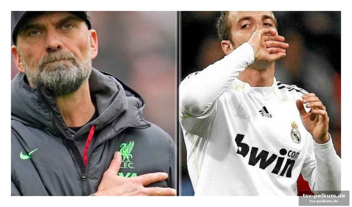 Van der vaarts unglücklicher vergleich löst debatte aus
