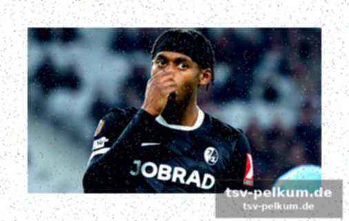 Everton unterstützt mcneil