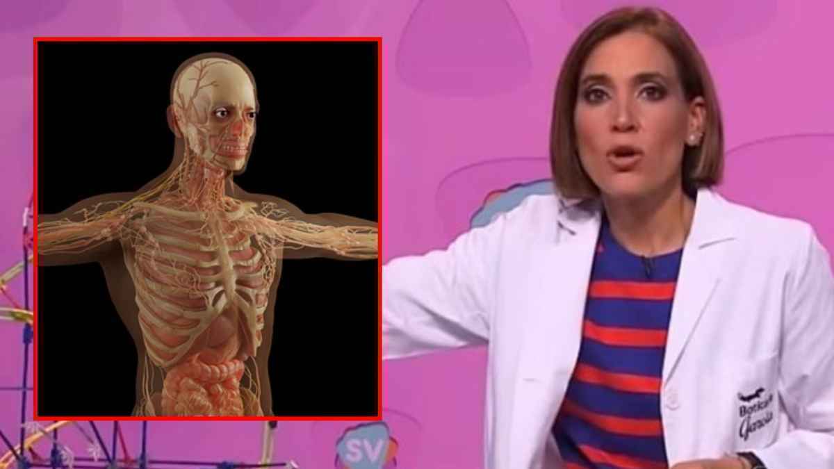Knochengesundheit: so stärken sie ihre knochen wirklich!