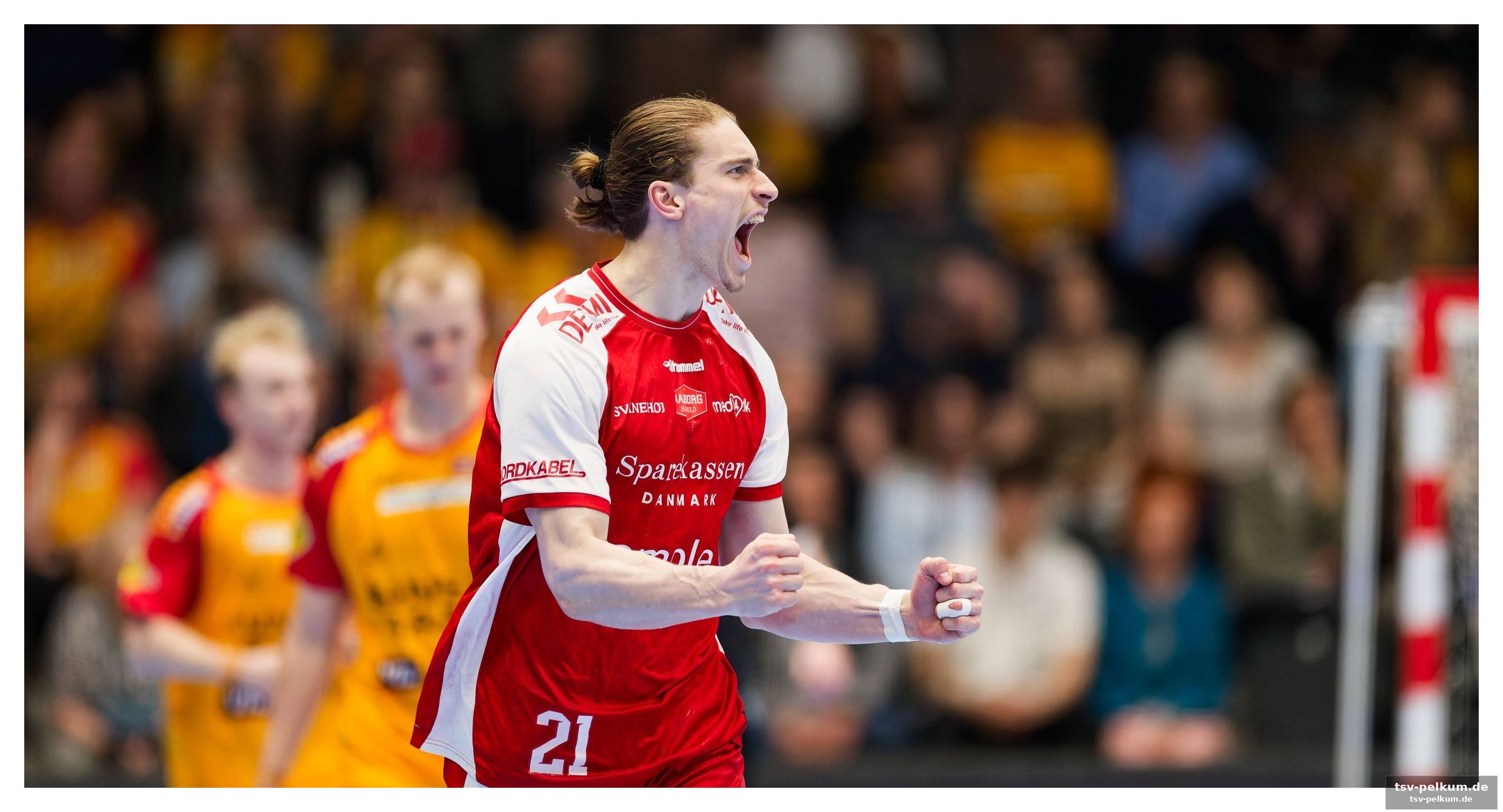 Der weg zum erfolg: aalborg dominiert die finalserie