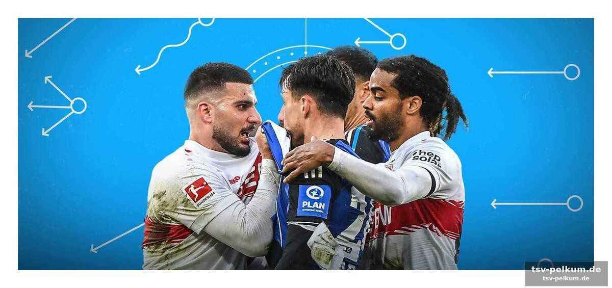 Stuttgarts aufstieg: champions league im blick?
