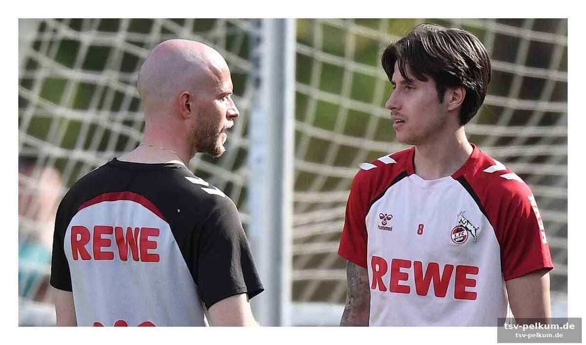 Die schwierige balance zwischen leistung und emotion