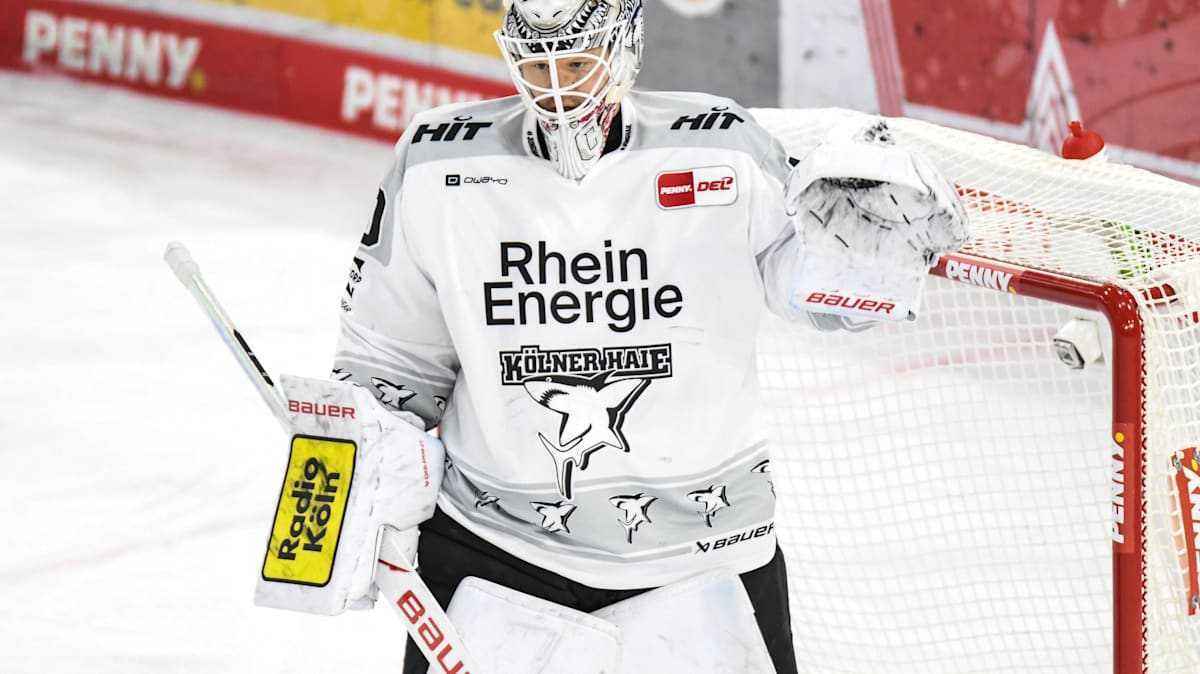 Kölner haie ernten was sie säten: juvonen und jalonen feiern historische triple-krönung