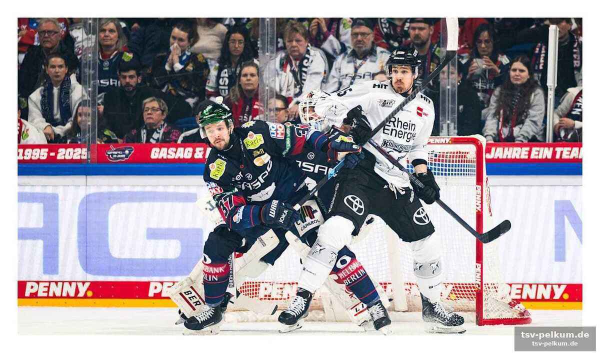 Wer zeigt das eishockey-spektakel im free-tv?
