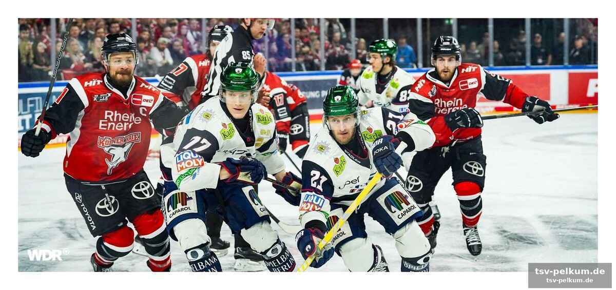 Champions hockey league: neue herausforderung für den kec