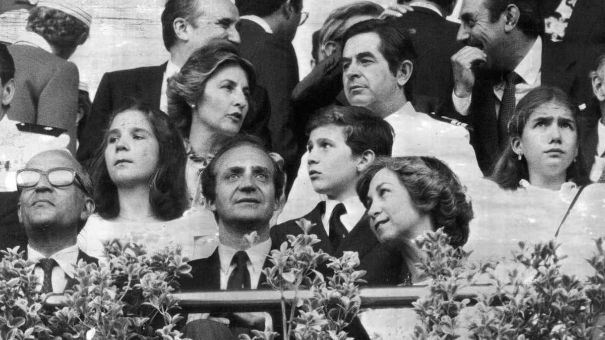 König felipe vi: von der wm-vorhersage zur staatskrone