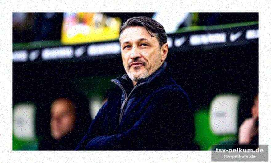 Urs fischer und die stärken von mainz 05