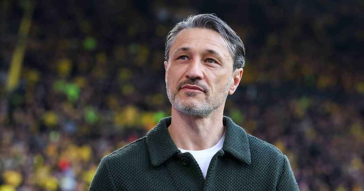 Kovac verteidigt brandt-vergleich: „er wäre ohne ihn nicht da“