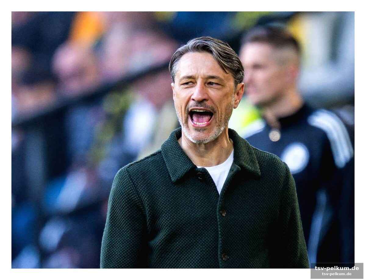 Junge spieler und die vergangenheit des bvb