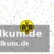 Was der bvb wirklich riskiert