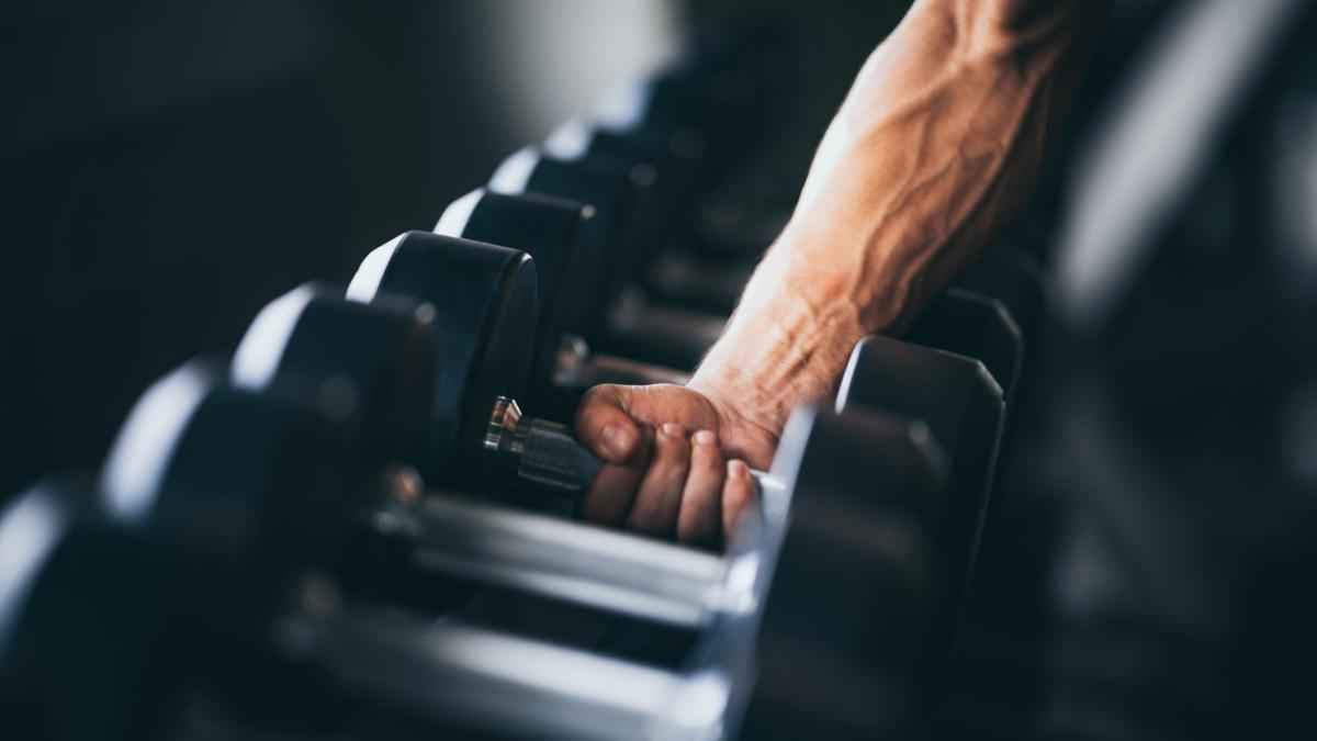 Krafttraining: wann der körper am stärksten ist – und warum regelmäßigkeit zählt!