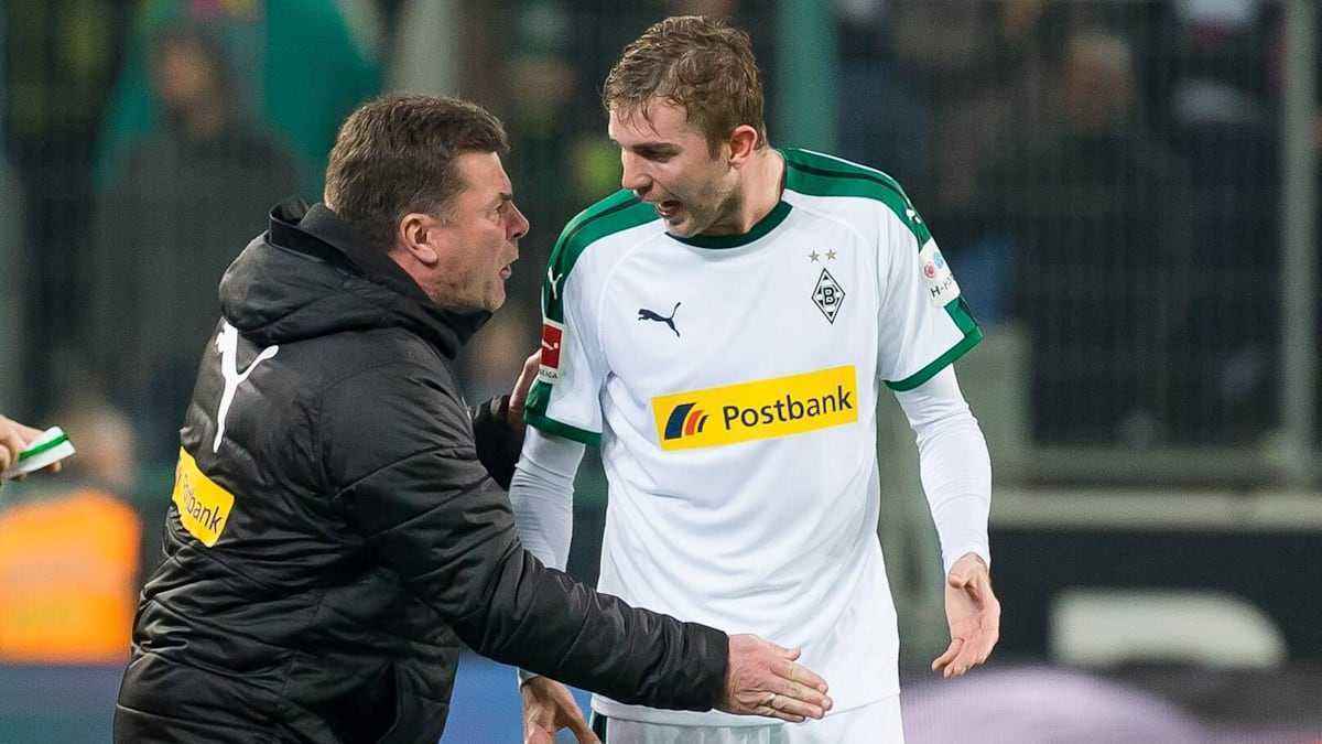 Kramer setzt auf hecking: der retter kommt mit kariertem hemd