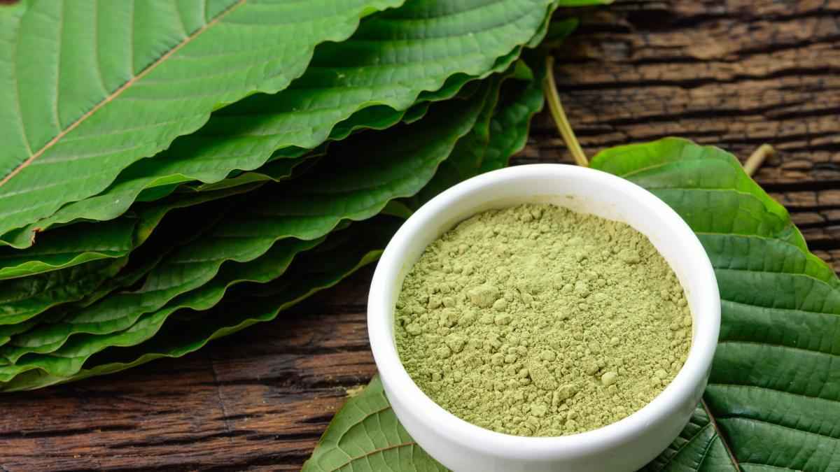 Kratom-boom in den usa: gesundheitsämter alarmieren