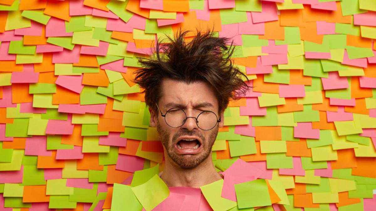 Kreativboom mit kater: studie zeigt den emotionalen preis für profis