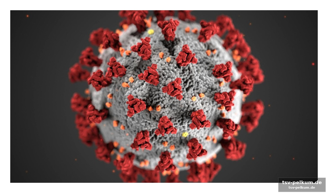 Die ähnlichkeiten und unterschiede zum covid-19-virus