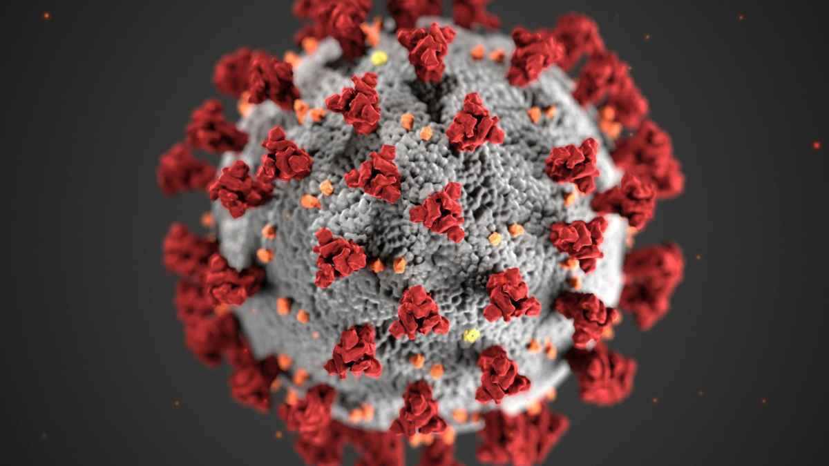 Kreuzfahrtschiff hondius: virus-ausbruch wirft fragen auf
