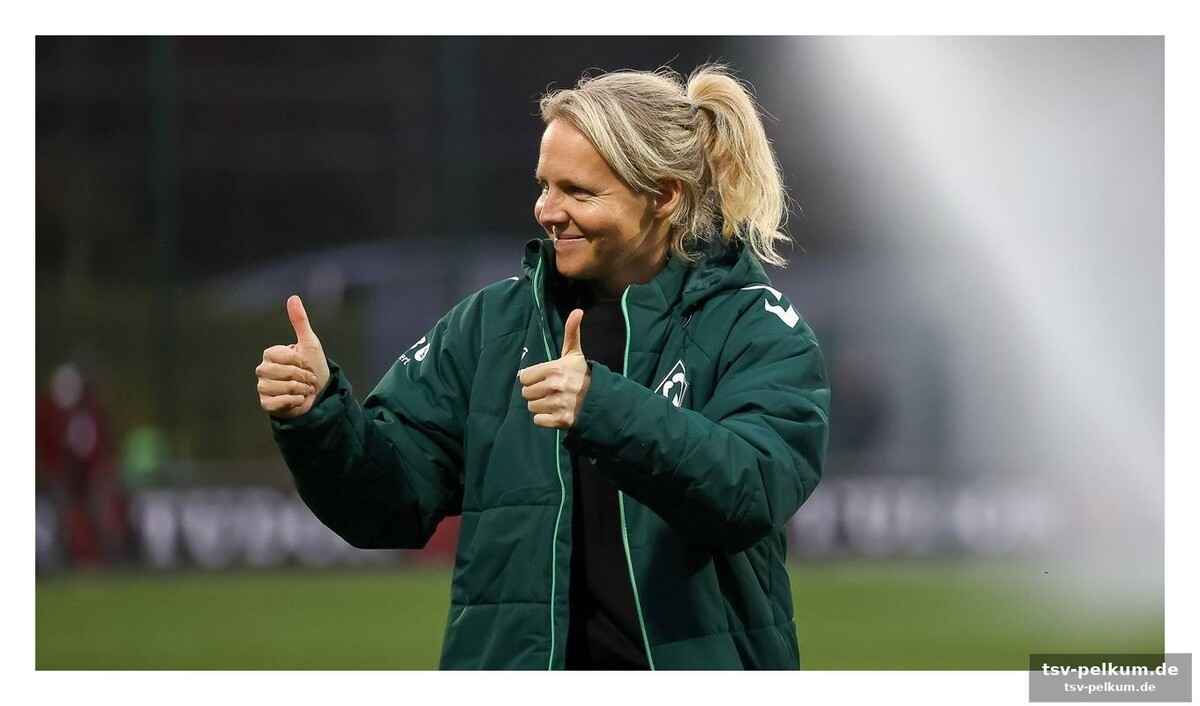 Professionalisierung oder abstiegskampf