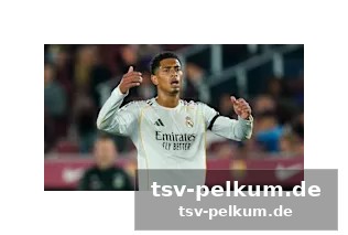 Rückkehr in aussicht? real plant mit kroos