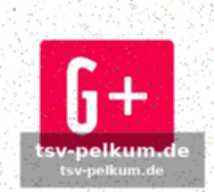 Der trainer wird zum programmierer