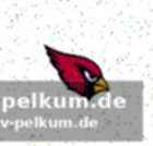 Das ceiling war immer da – die frage ist, ob es noch kommt
