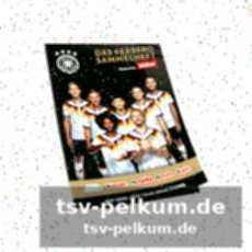 Analytiker und fan: lahms blick auf das dfb-team