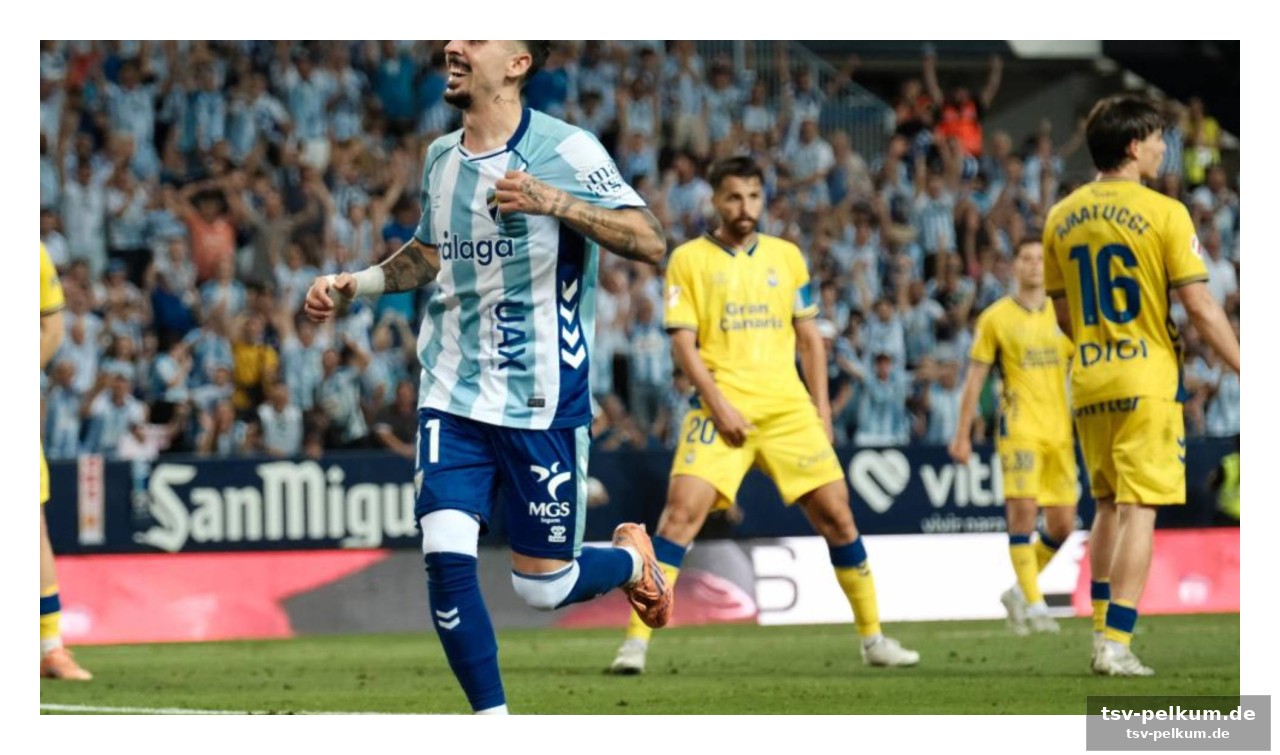 Die playoffs begeistern ein millionenpublikum