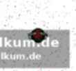 Statistiken und aktuelle situation der hornets
